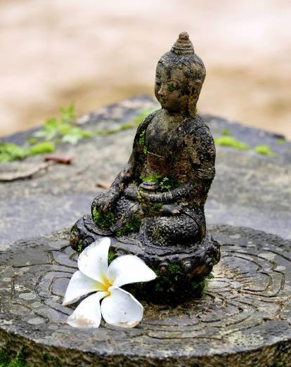 Small stone Buddha statue with white orchid flower