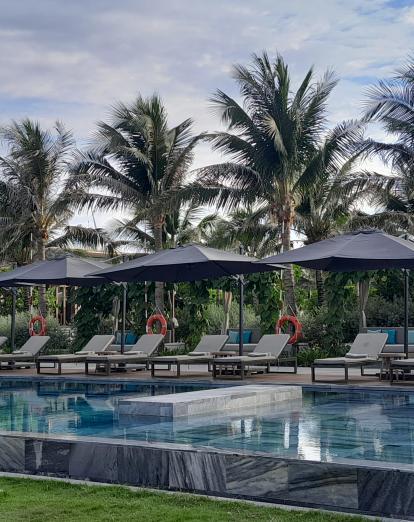 Sun loungers and palm trees next to hotel pool