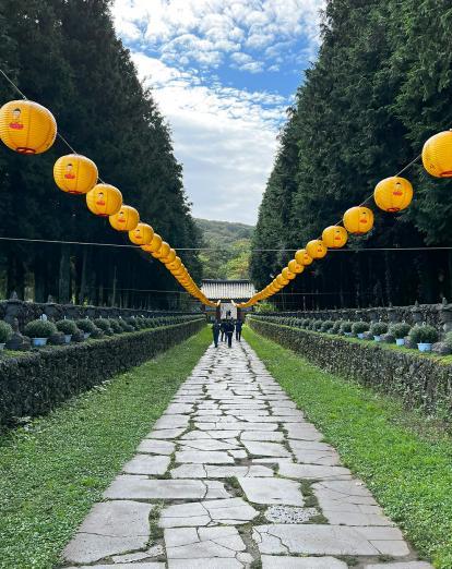 Tree-lined pathway through ancient gateway past paper lanterns