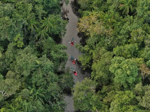 Aerial view of kayakers in Botum Sakor National Park