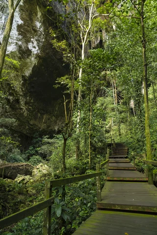 Walkway to Deer Cave, Mulu 