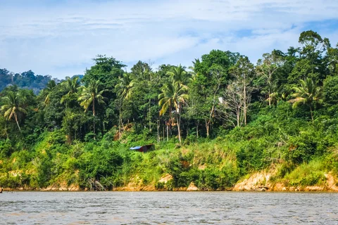 Riverbank in Taman Negara National Park