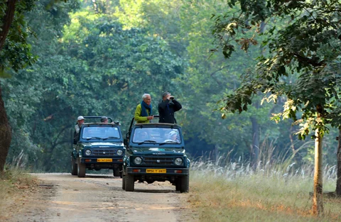 Bandhavgarh National Park