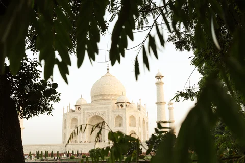 Taj Mahal through trees