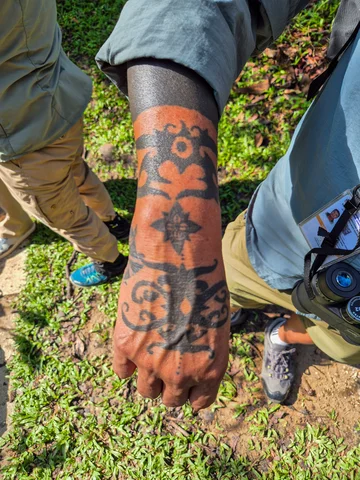 Tattoo of the Iban tribe in Borneo