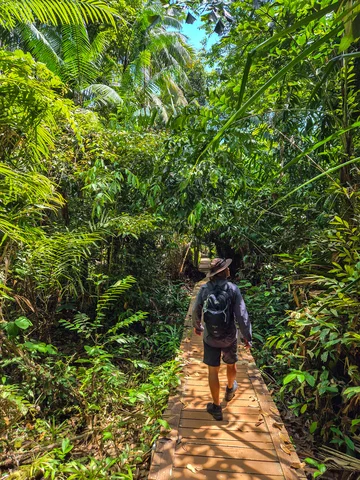 Borneo Bako National Park
