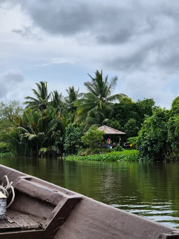 Borneo river cruise near Bako National Park