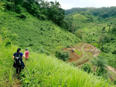 Chiang-Mai
