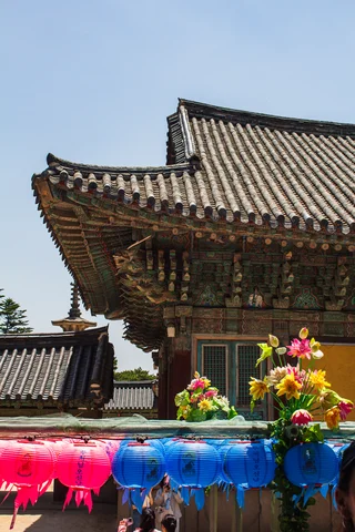 Colourful South Korea lanterns in front of a temple