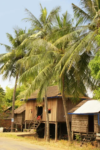  Palm tree stilt house, Kratie in Cambodia