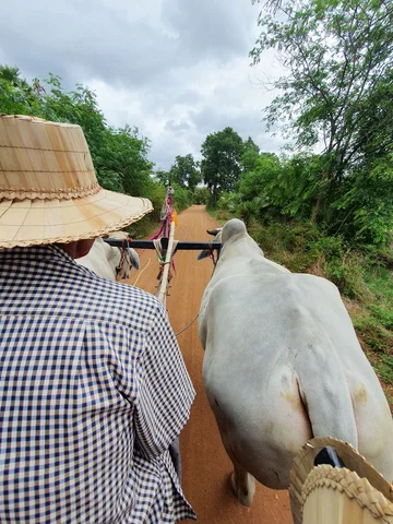 Cart trip Cambodia