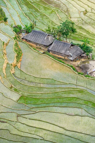 Hoang Su Phi rice fields