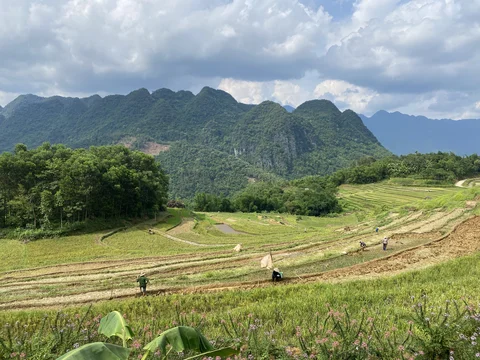 PuLuong