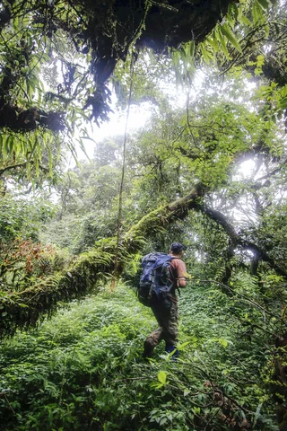 Nepl namet cloud forest trek