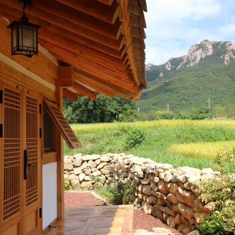 Tea Place with View