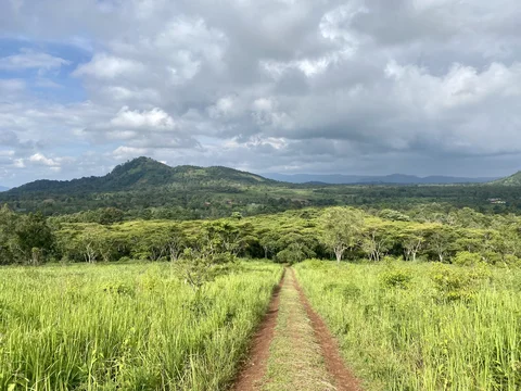 Bolaven Plateau scenery