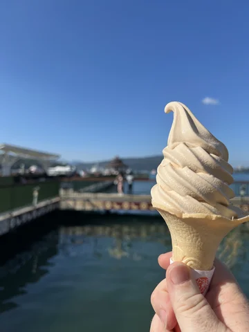 Taiwan Sun Moon Lake Tea Ice Cream