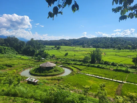 small building surrounded by water in the middle of paddy fields