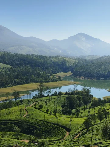 Munnar ariel shot, Munnar, India
