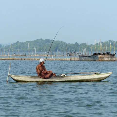 Fisherman