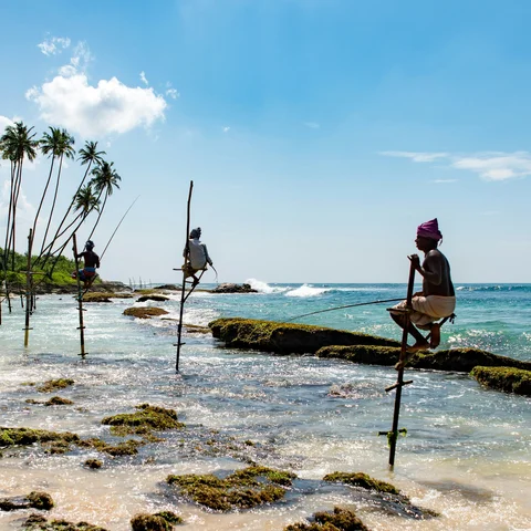 Stilt Fishing