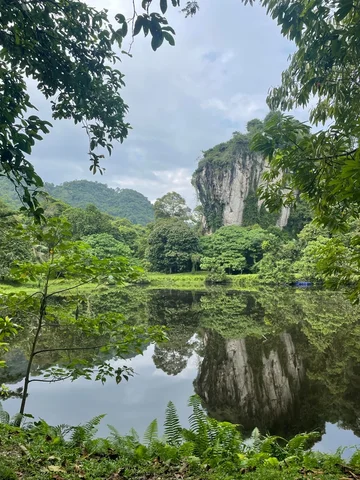 a lake reflects the forested karst scenery behind it