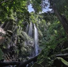 Belum Rainforest waterfall