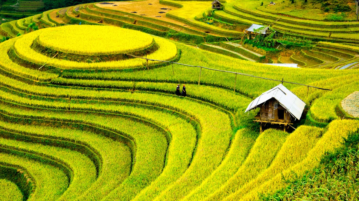 Terraced rice fields in Sapa, Vietnam, with two people walking along a path and traditional wooden houses nestled among the lush, green landscape.