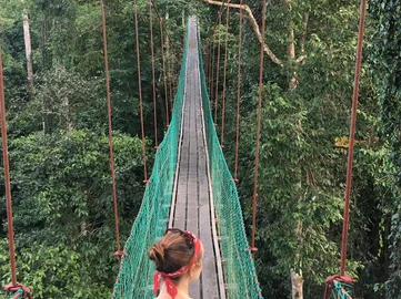 Canopy walkway in Danum Valley - Claire Allison