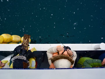 Winter Highlights Icebreaker cruise Japan February wildlife spotting