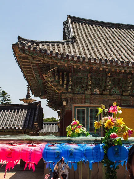 Colourful South Korea lanterns in front of a temple