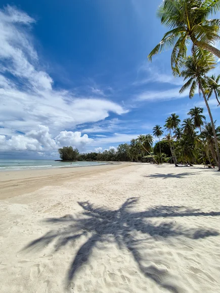 The view of a quiet white sand beach with no tourists and palm trees in Koh Kood Thailand