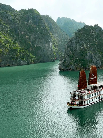 Violet Cruise boat overview
