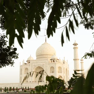 Taj Mahal through trees