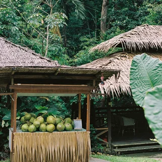 A coconut stand in Borneo