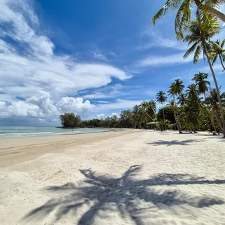 The view of a quiet white sand beach with no tourists and palm trees in Koh Kood Thailand