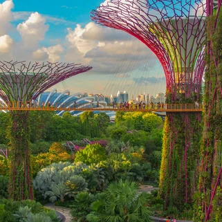 Sky trees and gardens in Singapore