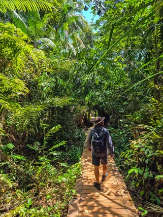 Borneo Bako National Park