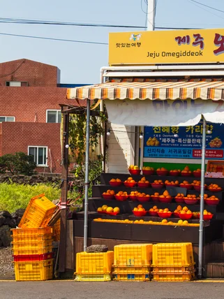 Jeju oranges on a market stall in Jeju Island in April South Korea