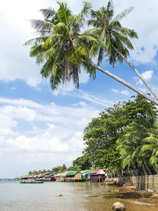 The view of colourful houses along the coast in Kep with palm trees from a beach