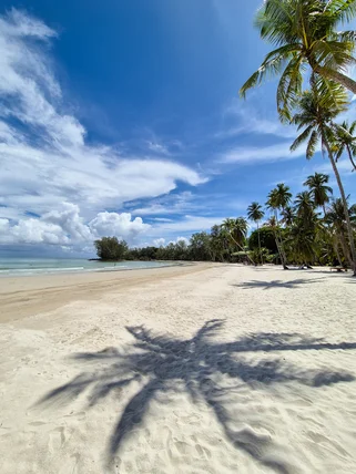 The view of a quiet white sand beach with no tourists and palm trees in Koh Kood Thailand