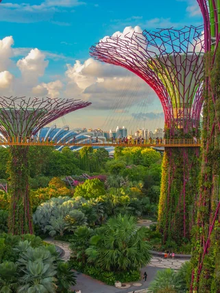 Sky trees and gardens in Singapore