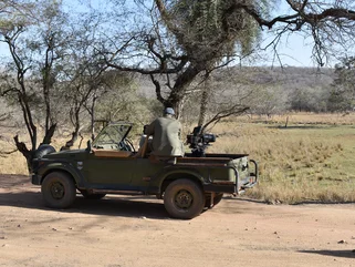 India wildlife park safari Ranthambore March 