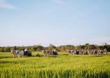Mekong River scenery - Heritage Line 