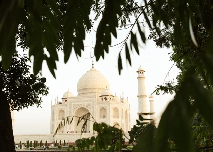 Taj Mahal through trees