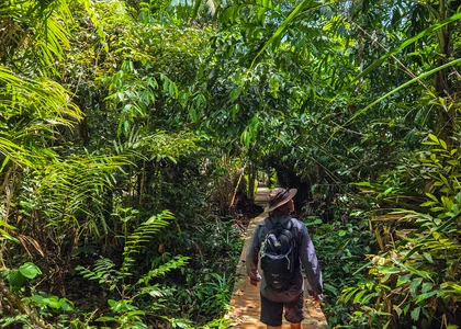 Borneo Bako National Park