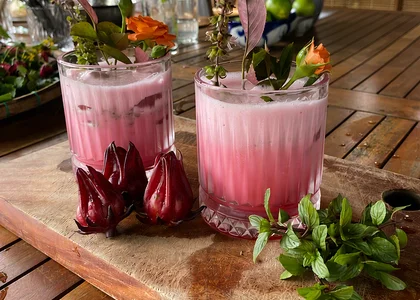 Two pink drinks sit in the forefront. In the background are the ingredients - hibiscus, basil leaves and lemon juice