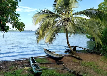 South Coast