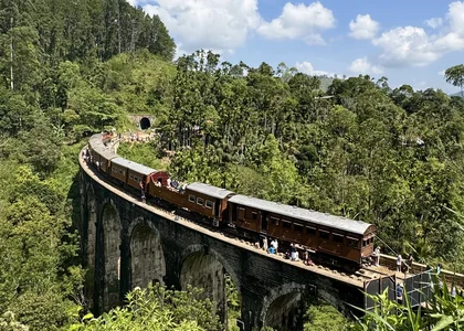 Ella Train