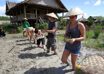 Living Land Farm - Planting Rice